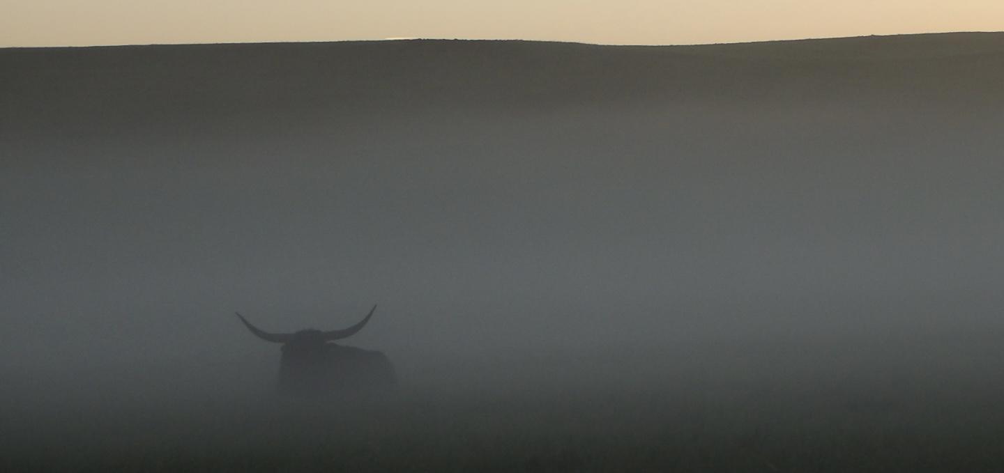 Hello from the Freezer Burn LNT Team - Cover Image